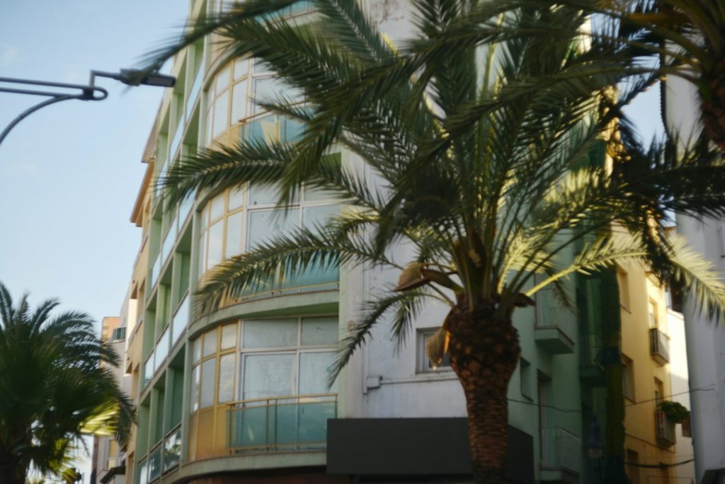Antalya kurumsal fiberglass projeleri için modern bina ve palmiye atmosferi